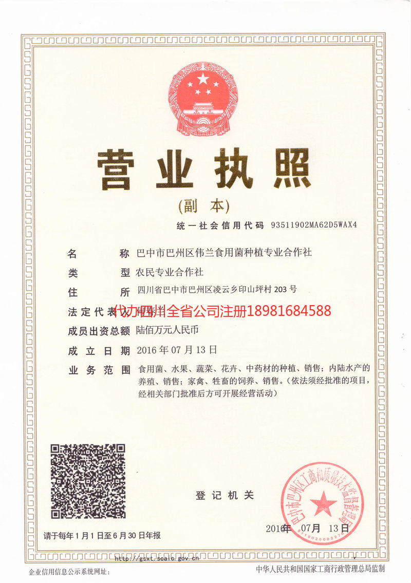 安国安国伟兰食用菌种植专业合作社