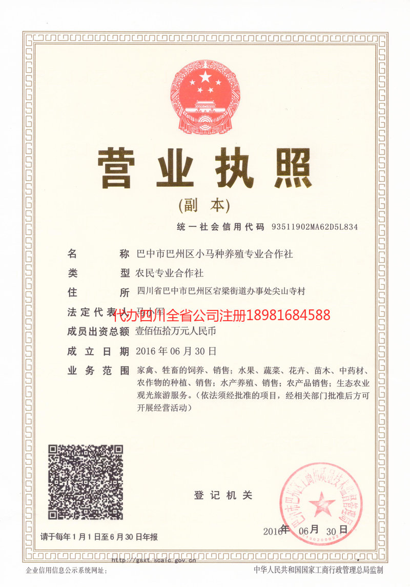 安国安国小马种养殖专业合作社